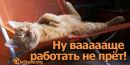 Віктор Дребота фотография #27 (источник - https://vk.com/id30432372)