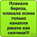 Олексій Гураль фотография #28 (источник - https://vk.com/id113906663)