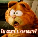 Іванка Матiйчук фотография #15 (источник - https://vk.com/id150737009)