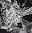 Фотография Антоненко Павла