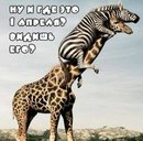 Діма Попович фотография #5 (источник - https://vk.com/id133926366)