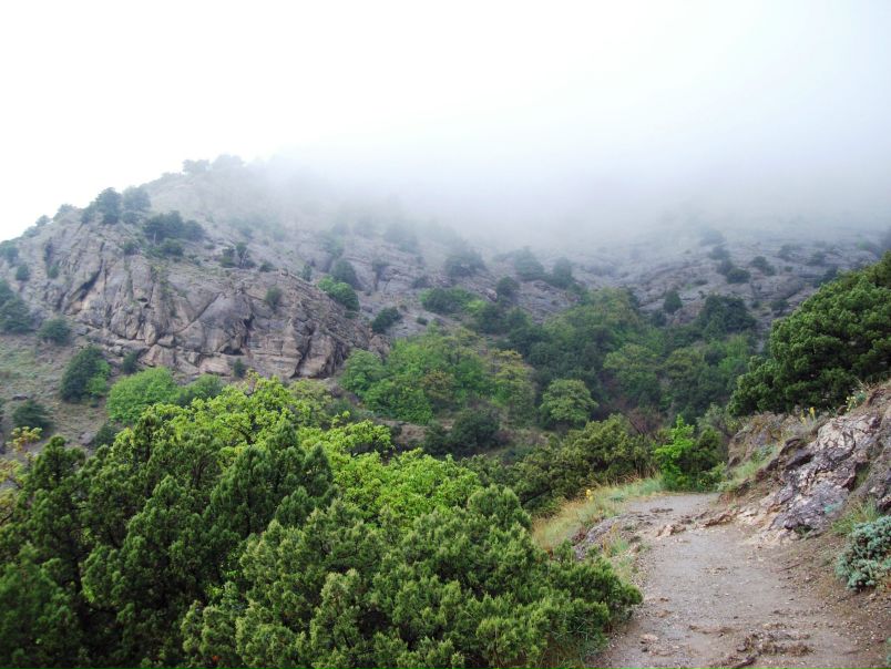 Marta Fly фото №7