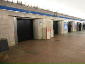 Crazy Tomat фотография #32 (источник - https://vk.com/id6413049)