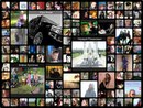 Соломія Дубкович фотография #36 (источник - https://vk.com/id162394051)