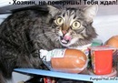 Святік Фучило фотография #8 (источник - https://vk.com/id153841409)
