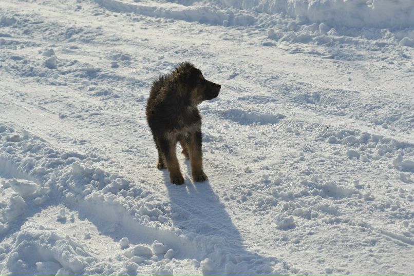 Андрей Саенко фотография #25