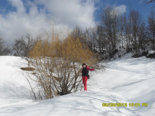 №20, Oksana Voroxta №20, Oksana Voroxta