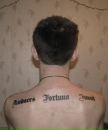 Фотография Рфа Котяры