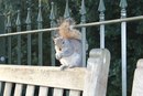 Фотография Литвинчука Георгия