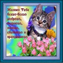 Олег Станіславчук фотография #23 (источник - https://vk.com/id28035913)