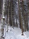 Ігор Кухар фотография #5 (источник - https://vk.com/id154320503)