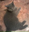 Фотография Резвов Андрей