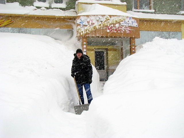 Владимир Кольберт фотография #50