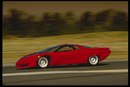 Віталік Нечипорук фотография #50 (источник - https://vk.com/id133484262)