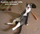Тіма Федас фотография #26 (источник - https://vk.com/id157667946)