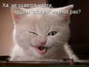 Фотография Саранцева Александра
