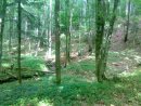 Василь Івасюк фотография #24 (источник - https://vk.com/id60830740)