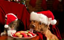 Фотография Казанцевой Танюшки