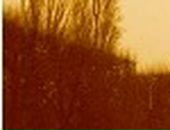 Люба Малаканова фотография #16 (источник - https://vk.com/id2996120)