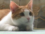 Фотография Стручковой Юлии