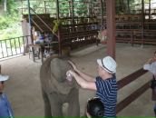 Фотография Димитриева Евгения