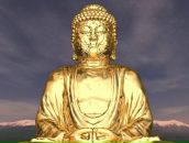 Фотография Павлова Дениса