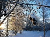 Фотография  