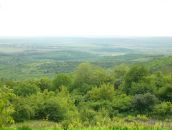 Фотография Дудай Наталии