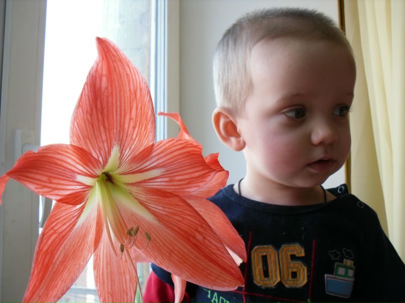 Наталья Панова фотография #17