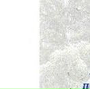 Света Іваніга фотография #46 (источник - https://vk.com/id83576210)