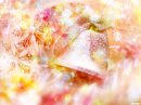 Іра Стецька фотография #17 (источник - https://vk.com/id23894464)