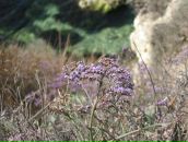 Андрій Кратчук фотография #31 (источник - https://vk.com/id24595452)