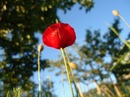 Фотография Базиян Ларисы