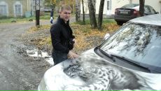 Фотография  