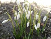 Фотография Александровны Катерины