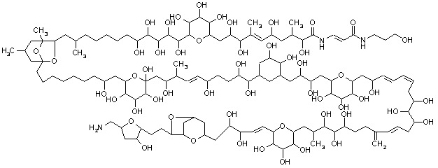 Егор Длин фотография #33