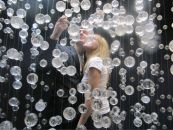 Фотография Кашанской Светланы