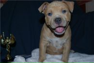 Максім Хороший фотография #23 (источник - https://vk.com/id169670176)