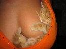 Фотография Анатольевны Светланы
