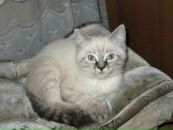 Женя Зварич фотография #18 (источник - https://vk.com/id31731374)