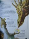 Scatur Cervina фотография #19 (источник - https://vk.com/id113406680)