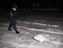 Сергій Прокопенко фотография #14 (источник - https://vk.com/id56780162)