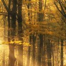 Жанна Щічко фотография #38 (источник - https://vk.com/id133268671)