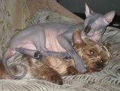 Фотография Малышевой Татьяны