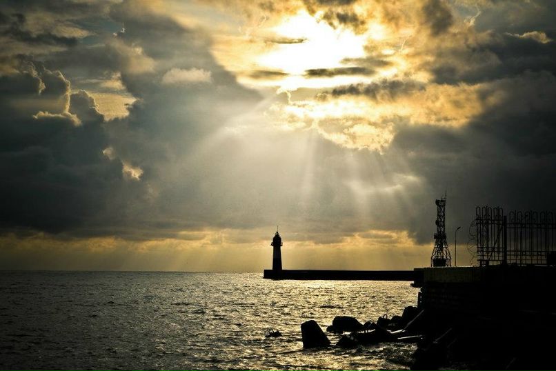 Ольга Вебер фотография #2