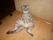 Фотография Соколовой Юлии