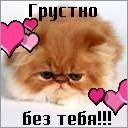 Мальвіна Макула фотография #21 (источник - https://vk.com/id168539804)