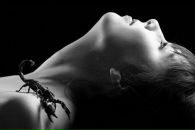 Фотография Starikova Evgenia
