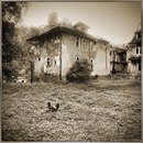 Юрій Ковальський фотография #42 (источник - https://vk.com/id132603403)