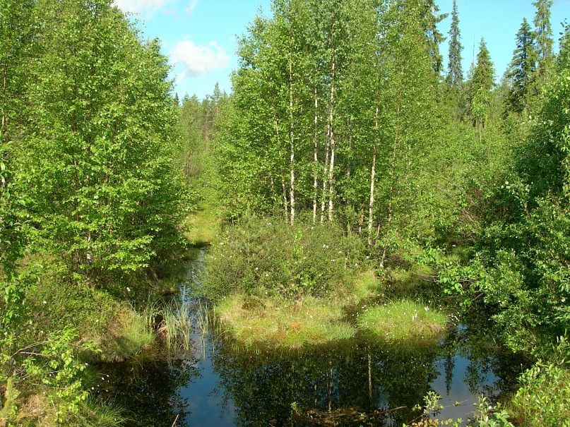 Дмитрий Вит фотография #23